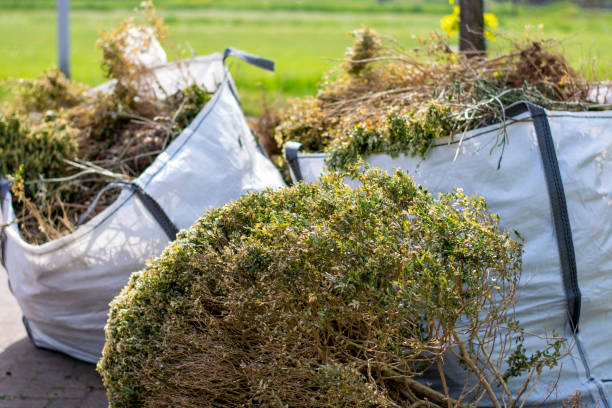 Attic Cleanout Services in Lincoln Park, PA